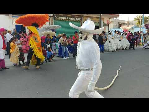 Carnaval Santa Ana Portales 2019 20