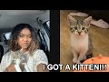 I GOT A KITTEN!!! | VLOG