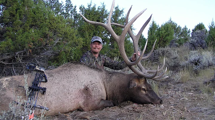 Mastering Your Elk Calling; Does it Really Matter ...
