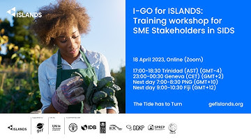 I-GO for ISLANDS: Training workshop for SME stakeholders in SIDS