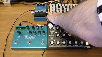 MFB Tanzmaus, Moog Minitaur, DOD FX90 & Strymon Big Sky