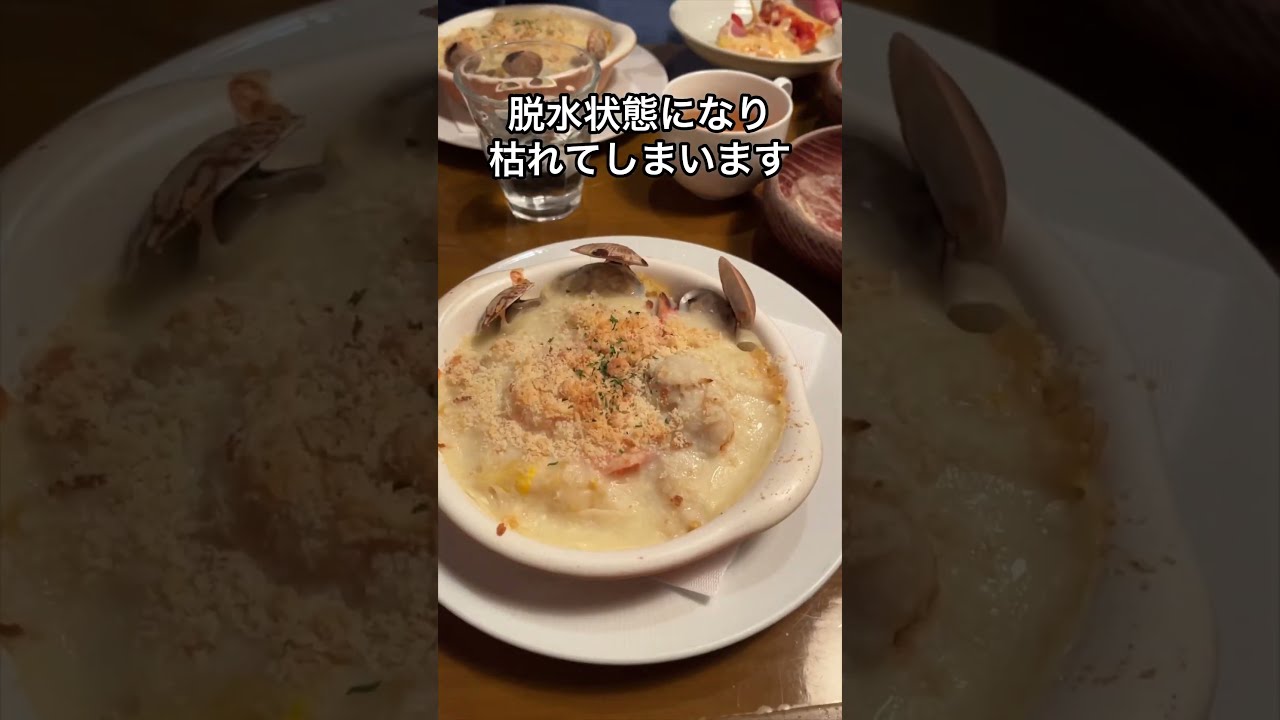 重曹で雑草駆除 #家庭菜園 #ガーデニング #雑草対策 - YouTube