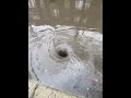 Clearing a storm drain on a flooded street in Chicago SATISFYING WHIRLPOOLS & TIMELAPSE (5/3/22)