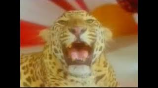 Alisha Chinoy  Made In India