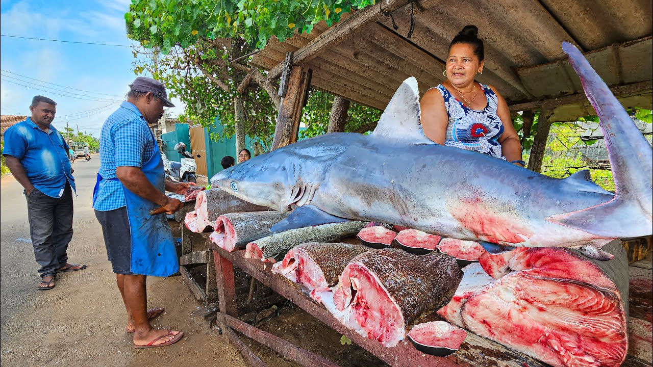 Rustic Fish Market Wow !! Rustic idyllic Village More Beautiful Streets Women's Fish ...