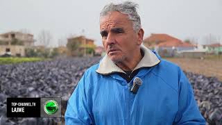 Download Lagu Top Channel/ “E vërteta e debatit me Ramën”, flet fermeri që u përplas me kryeministrin në Divjakë MP3