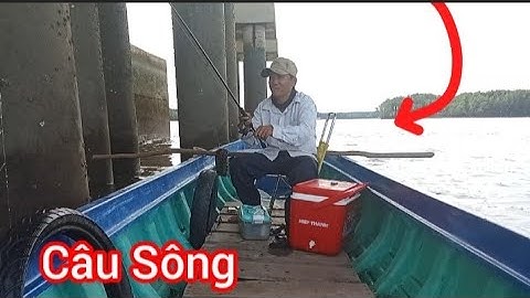Trúng Bầy cá Nâu || Dưới Chân Trụ Cầu Cao Tốc cá ăn giựt không kịp @Dammecauca1