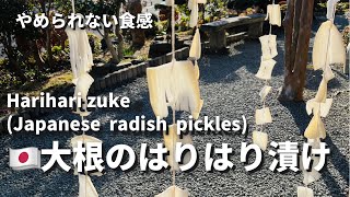 「大根のはりはり漬け」ばあば直伝やみつきレシピ。一度食べたら止まらない。切り干し大根から作る秘伝の味。Harihari Zuke(Japanese radish pickles) by Wagokoro 92 views 2 years ago 49 seconds