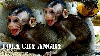 Cry..cry..baby Lola Hungry Cry To Loud Asking Moms Mango, Mom Leyla Jngore Her Baby & Let Lola Cry