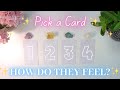 How Do They Feel About You?🌻🐝 Past, Present & Future 💕 Pick a Card