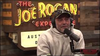 Joe Rogan on Adrian Dittmann / Elon Musk