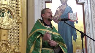 Проповедь прот. Георгия Урбановича в Вербное Воскресение (21.04.19)