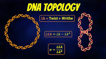 DNA Topology || Linking number || Twist || Writhe