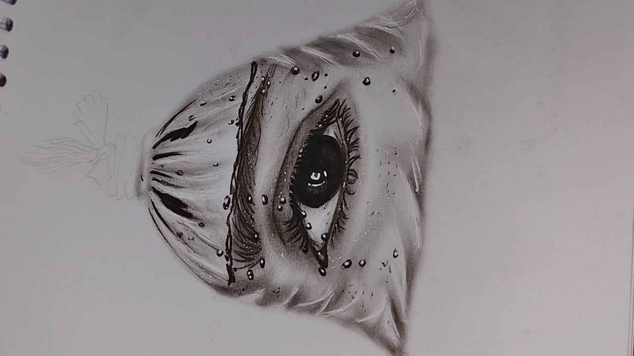 Eye draw. | How to draw. | Art with artist | 