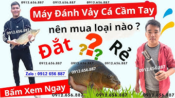 Máy đánh vảy cá lóc cầm tay nên mua loại nào, Review các loại máy đánh vảy cá mới nhất 2023