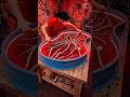 Luminous Red Branch Resin Art ✨🕷️