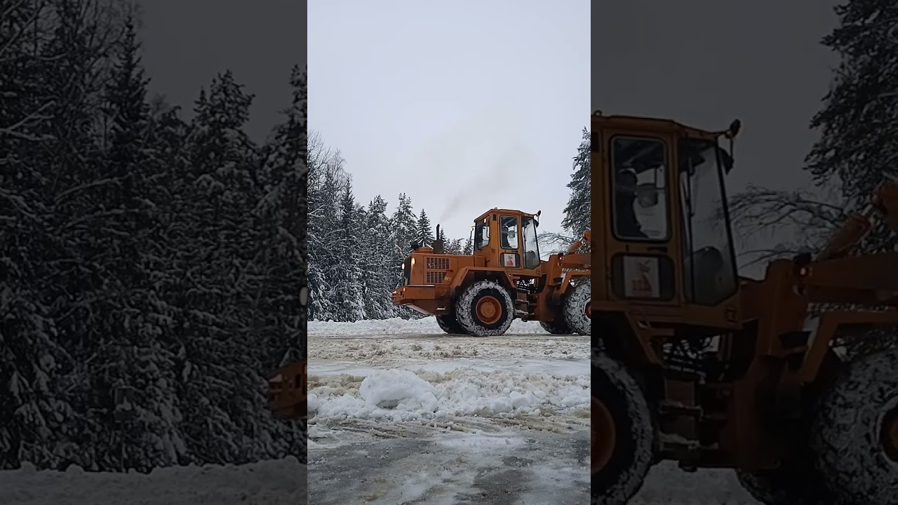 10 января 2026 г.