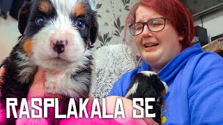 IZNENADIO SAM SESTRU SA PSOM KOJEG JE ODUVEK ŽELELA *EMOTIVNO*