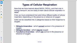 Bio Energy Processing Cellular Respiration Part 2