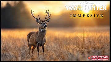 Way of the Hunter | First Time Fully IMMERSIVE (RANGER MODE) | 4k Gameplay