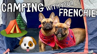 10 Tips for Going Camping with your French Bulldog