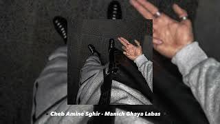 Cheb Amine Sghir - Manich Ghaya labas [ Slowed + Reverb ]