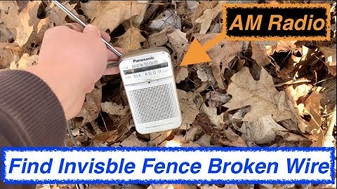 How to find break in invisible fence wire | Shocked this Worked!