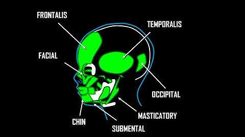 EEG Artifact and How to Resolve it