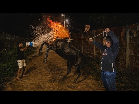Prendemos a mula sem cabeça e jogamos um balde com água no fogo dela #mulasemcabeça
