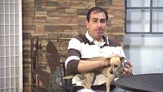 Microchipping Your Pet