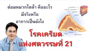 โรคเครียดแห่งศตวรรษที่ 21 ภาวะต่อมหมวกไตล้า