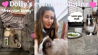 MY NETHERLAND DWARF RABBITS EVENING ROUTINE *SPAY UPDATE, RABBIT EYE INFECTION HOME REMEDY& MORE* by Alicia Ashley 14,279 views 2 years ago 25 minutes