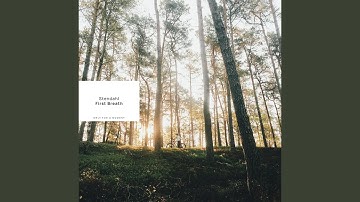 Thumbnail of First Breath