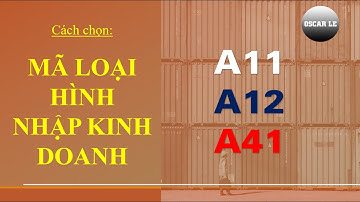 Cách Chọn Mã Loại Hình Nhập Kinh Doanh A11 - A12 - A41 | OscarLe - Webxuatnhapkhau.com