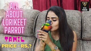 ALL ABOUT LORIKEET PARROT #PETSPSYCHO TAMIL