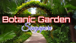 Botanic Garden Singapore Intro Rhea Ping