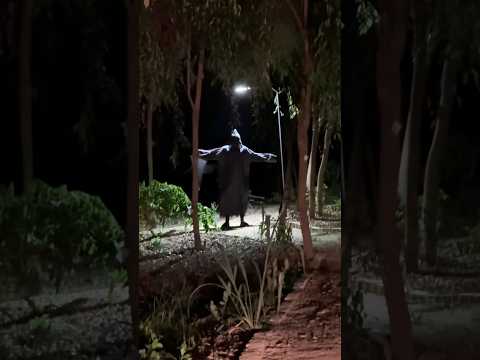 O MONSTRO DA