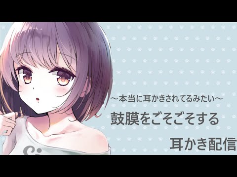 【ASMR】鼓膜をごそごそする耳かき配信～本当に耳かきされてるみたい～【耳かきボイス】