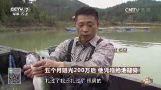 20170428 致富经 五个月赔光200万后 他凭啥绝地翻身
