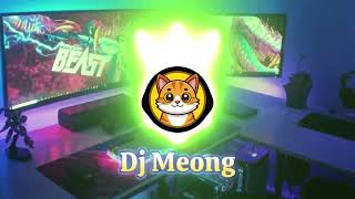 Download Lagu NIEUWSTE TIKTOK-DJ 2025 🎵 DJ Meong 🎵 Zet het volume nu hoger MP3
