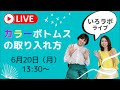 【いろラボLIVE】カラーボトムスの取り入れ方　＃アラフィフファッション　＃カラーボトムス　＃パーソナルカラー