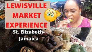 MARKET SHOPPING LEWISVILLE JAMAICA|NEW MARKET|ST ELIZABETH|SHOPPING WITH ONLY $1000 JAMAICAN DOLLARS