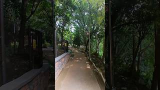 증산공원 영상