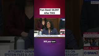 Download Lagu Pam Bondi was SILENT After THIS MP3