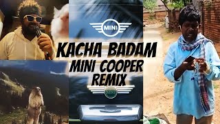 Kacha Badam | Ravi Royster x Bhuban Badyakar ( Mini Cooper Remix )