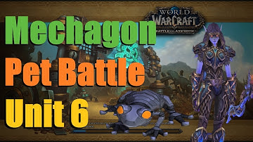 Unit 6 Pet Battle Guide - Mechagon - World of Warcraft