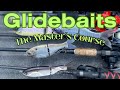 Bass fishing with glide baits  the masters course