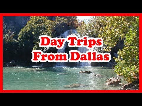 Video: Las mejores excursiones de un día desde Dallas