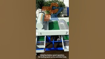 Garlic grading machine