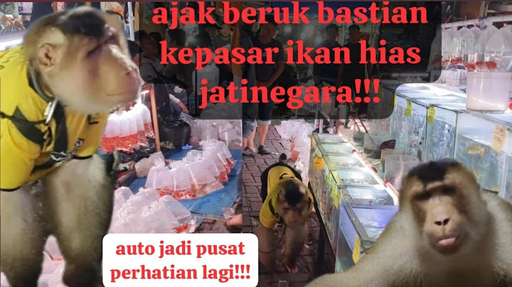 keliling pasar ikan Jatinegara sama Beruk Bastian!!! Auto jadi pusat perhatian lagi 😣